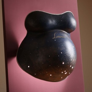 Kit Moulage Ventre Femme Enceinte - Bandes Plâtre, Peintures, Pinceaux, Pour Souvenir 3D De Grossesse